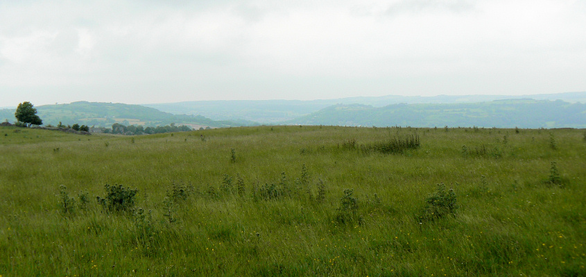 Masson & Riber Hills Masson & Riber Hills